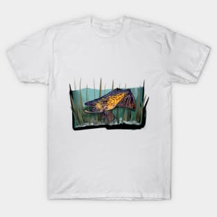 Brown Trout T-Shirt